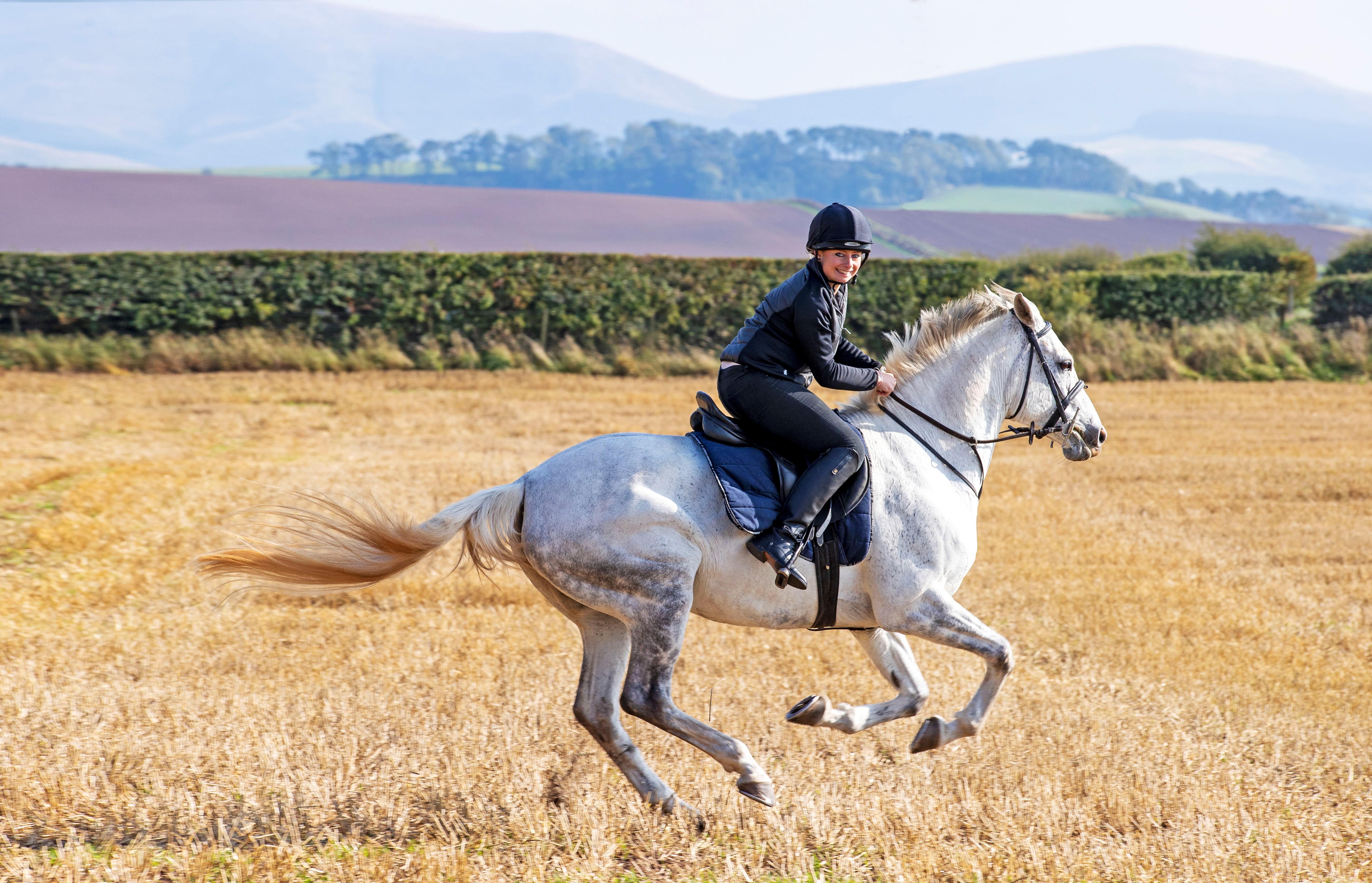 Schloss Roxburghe, Part Of Destination By Hyatt ภายนอก รูปภาพ A rider on a purebred Spanish horse